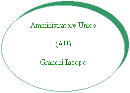 Ovale: Amministratore Unico
(AU)
Granchi Iacopo
 
