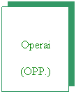 Casella di testo:  
Operai
(OPP.)
